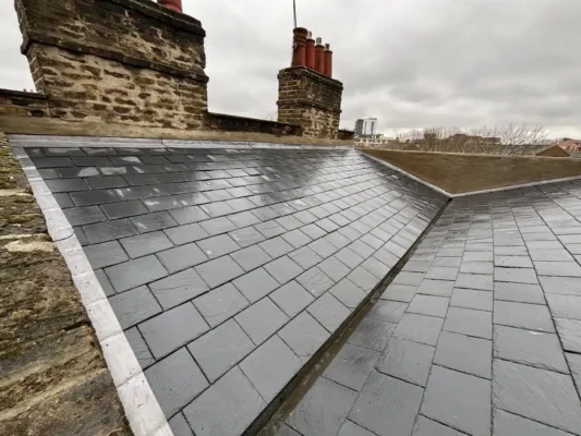 Roofing Services in Hackney